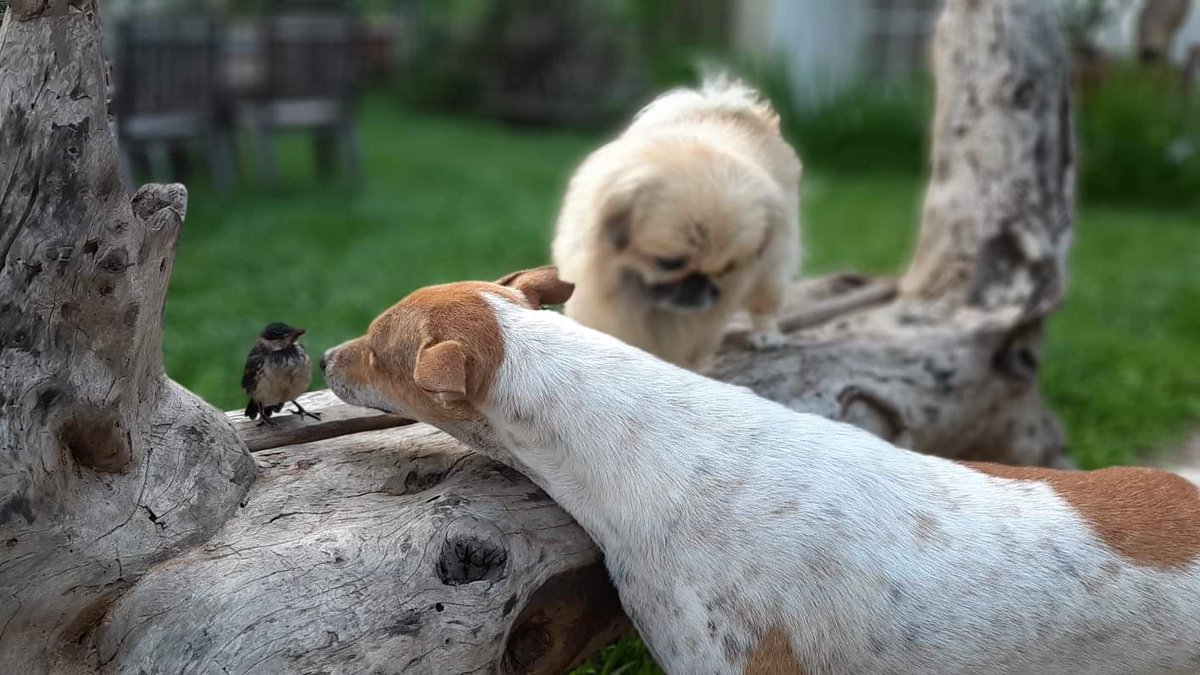 Friendship