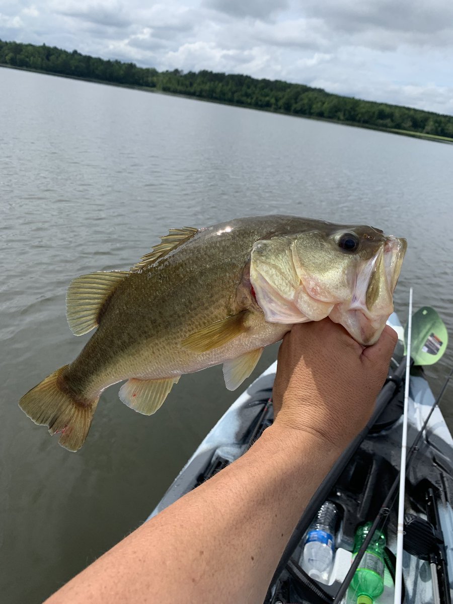 ThePopePack's tweet image. Kayak fishing is a blast!