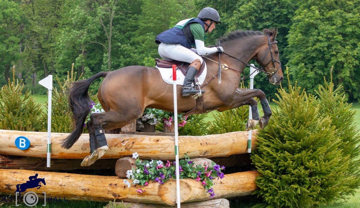 beddownbedding's tweet photo. All three boys smashed it for @SimonjGrieve Event Team yesterday round a serious XC course at #Bramhamhorsetrials @BramhamPark 👏👏👏 Here are some super photos by @lucyhallphoto of Simon riding Bronze Dandylion 🙌🙌🙌 #eventing #beddown #excelplus #equine #performancebedding https://t.co/HzWwAFfBBF