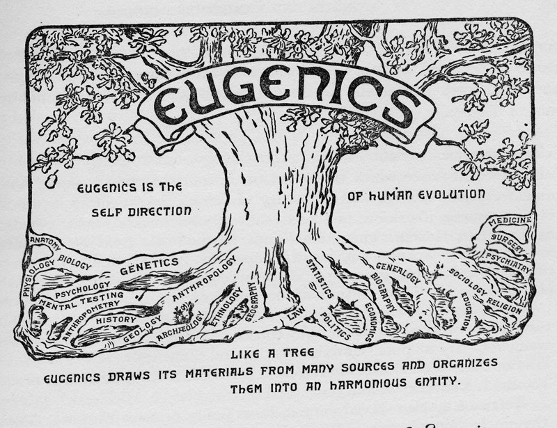 I believe I know something about w*m*n: if they are enticed to worship a kind of man they will be glad to bear his children with abandon. Many have other concerns, about family or religion. But I'm concerned above all with continuation of the right bloodlines.