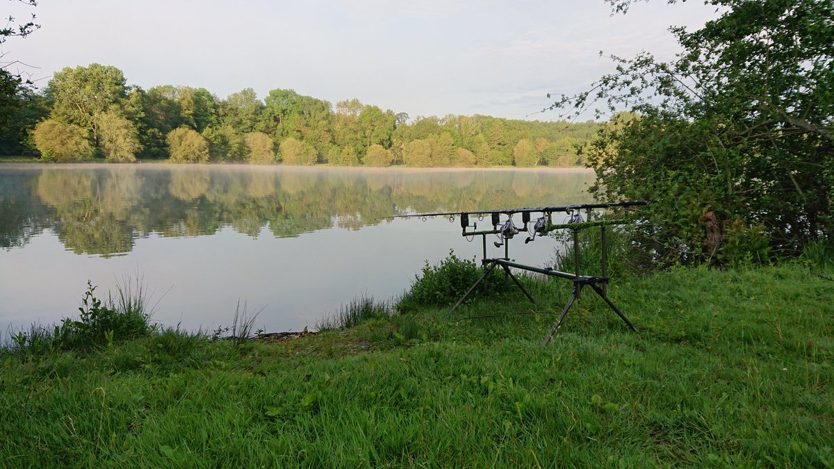 #fishing #CARPology #carpangler #carplife #nokill