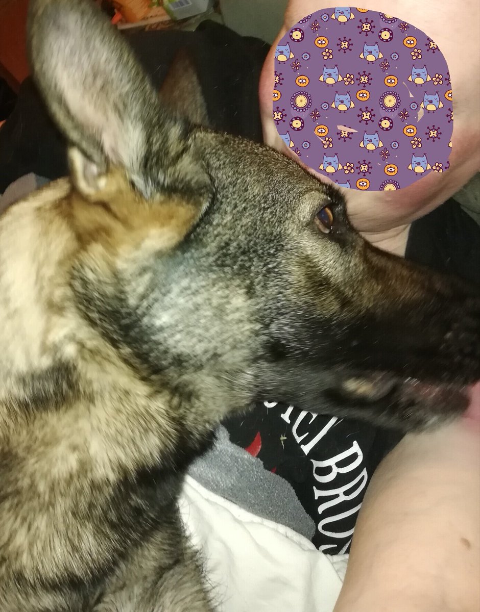rantingduck1's tweet photo. helping hooman with pain management by pressing my paws to the back of the couch and leaning against hooman, applying pressure evenly along their upper body, relieving back pain.
#ServiceDog #TaskTrained #ShredderInAction https://t.co/PoXpJiYlsL