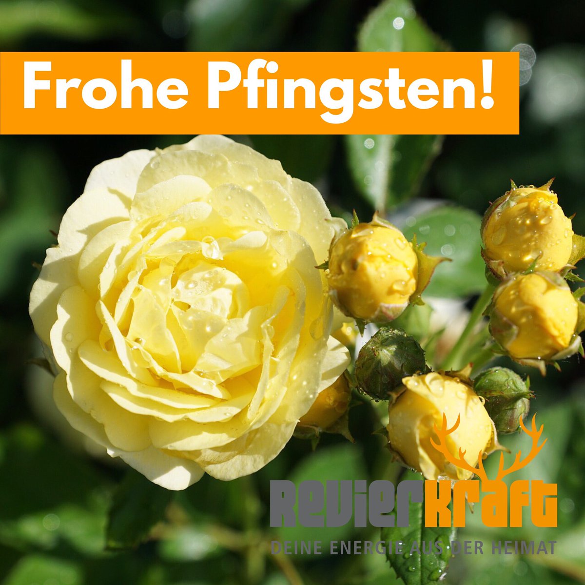 Habt frohe und sonnige Pfingsttage! 😊☀️🌺 Ideales Wetter für eine Spritztour ... 😎🛵💨 #RevierKraft #Pfingsten #evo