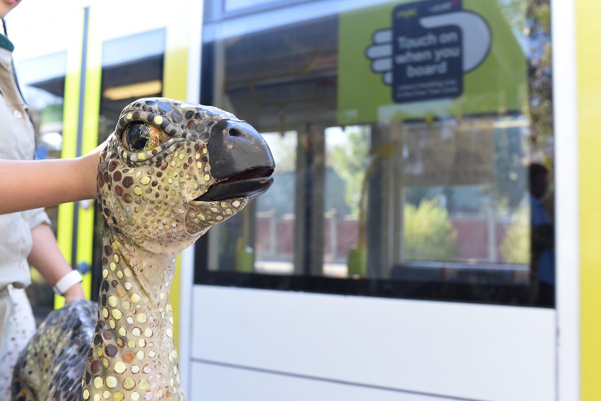 yarratrams's tweet photo. Day off tomorrow? Grab your myki, hop on #Rt58 to Stop 26 @MelbourneZoo and keep the kids royally entertained at #DinoPark!
Remember to sit tight or hold on as you journey back in time to these fascinating creatures of the past.
More info here: https://t.co/gVxOOIVLBk https://t.co/TbJR4kJ1Pu