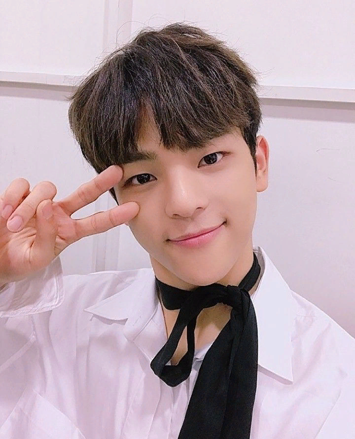 Woojin стрей. Ким ву джин stray kids. Ким вуджин. Какой игрушкой был уджин. Какой игрушкой был уджин.