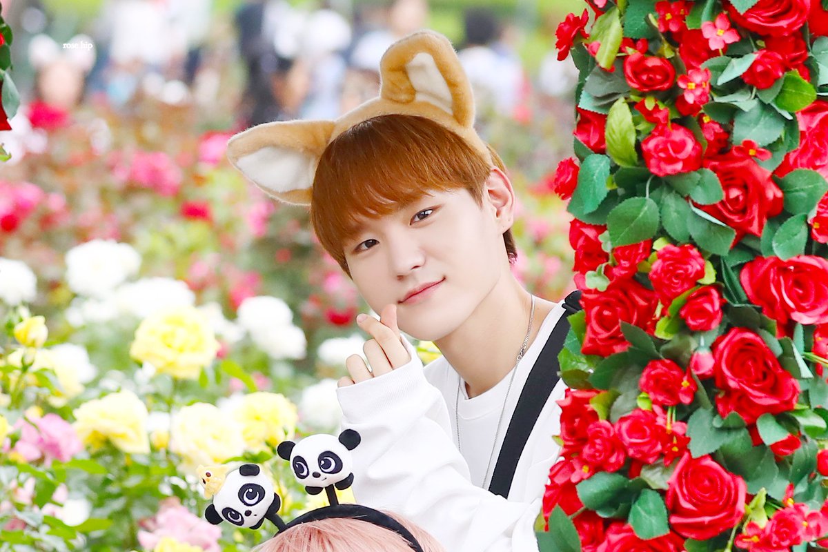 rosehip_sj's tweet photo. #브랜뉴뮤직 #홍성준 #HONGSEONGJUN #PRODUCE_X_101 #프로듀스X101
https://t.co/TLxQsBdrLF
https://t.co/tzUN8qrMAV https://t.co/PzyRpjAudI