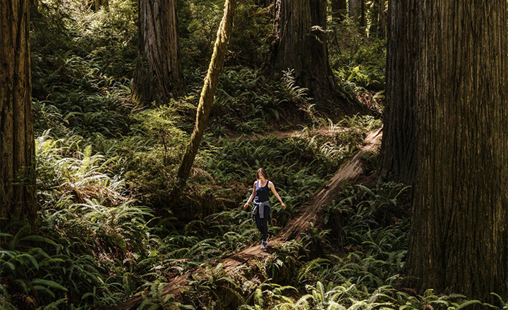 Sunday nature slideshow: Nat Geo features a photo essay on 20 natural wonders in the state of California.  ow.ly/r5CB50uzsti