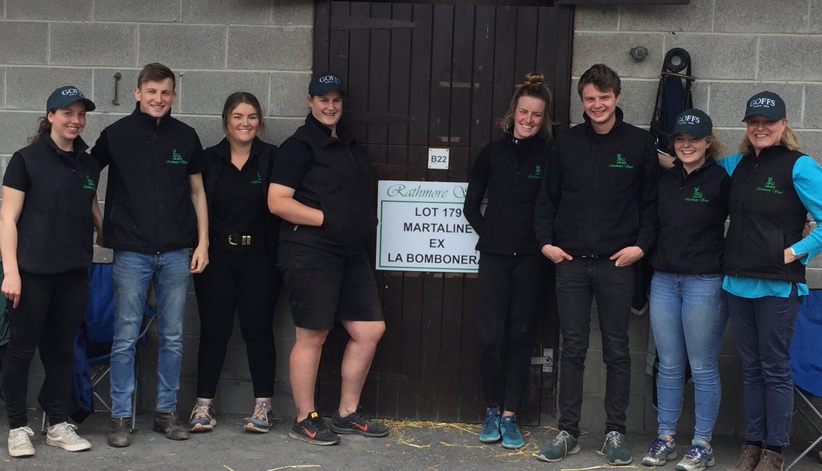 Rathmore team ready for action in Barn B <a href="/Goffs1866/">Goffs</a> Land Rover Sale #futurestars #rathmoregrad #successinstore <a href="/ITBA_Official/">ITBA</a> <a href="/IREthoroughbred/">ITM</a> <a href="/bloodstocknews/">EBN</a> <a href="/theTDN/">TDN</a>