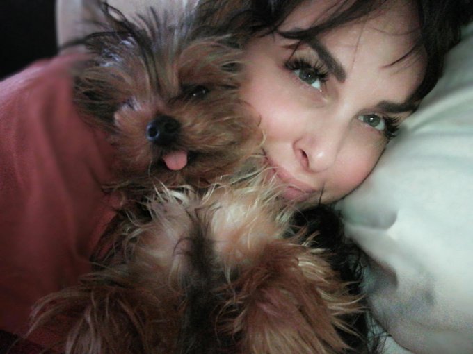 Sunday cuddles this is the all grown up Eddie.. Bobbie n him are my cuddle buddy's bobbie loves to sleep
