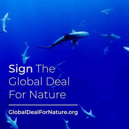 I just signed the #GlobalDealForNature calling on world leaders to protect half of our lands and seas. Please join me! Sign the petition at GlobalDealForNature.org

[JAMES IG UPDATE]