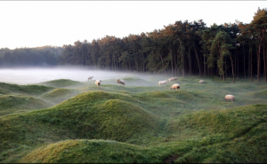orthveillon's tweet photo. WWrite Weekend! War's Permanence. Poems - The Land Remembers, Zone Rouge - Amalie Flynn https://t.co/dBFLRM7njy #WWI #wherrypilgrim #WrathBT #WLAJournal #TimeNowBlog #CONSEQUENCEM #Stbslam #WordsAfterWar #TheWW1podcast #NYTimesAtWar #amalieflynn #BookSpouse #HuffPost #POETSorg https://t.co/bzjDvkbz26
