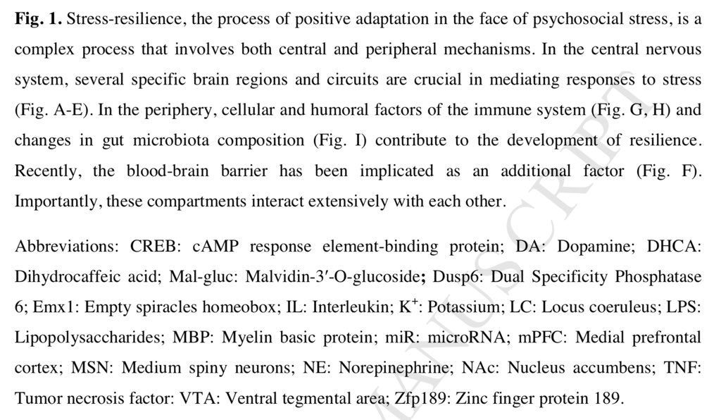 ChristophBurch's tweet photo. Neurobiology of Resilience: Interface Between Mind and Body

Cathomas et al. Biological Psychiatry 2019

https://t.co/jkvFNcr9u0 https://t.co/xQGWEmNKBO