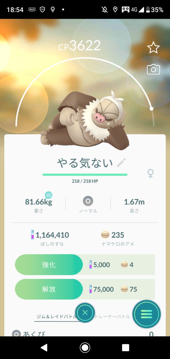 ケッキング ケッキング