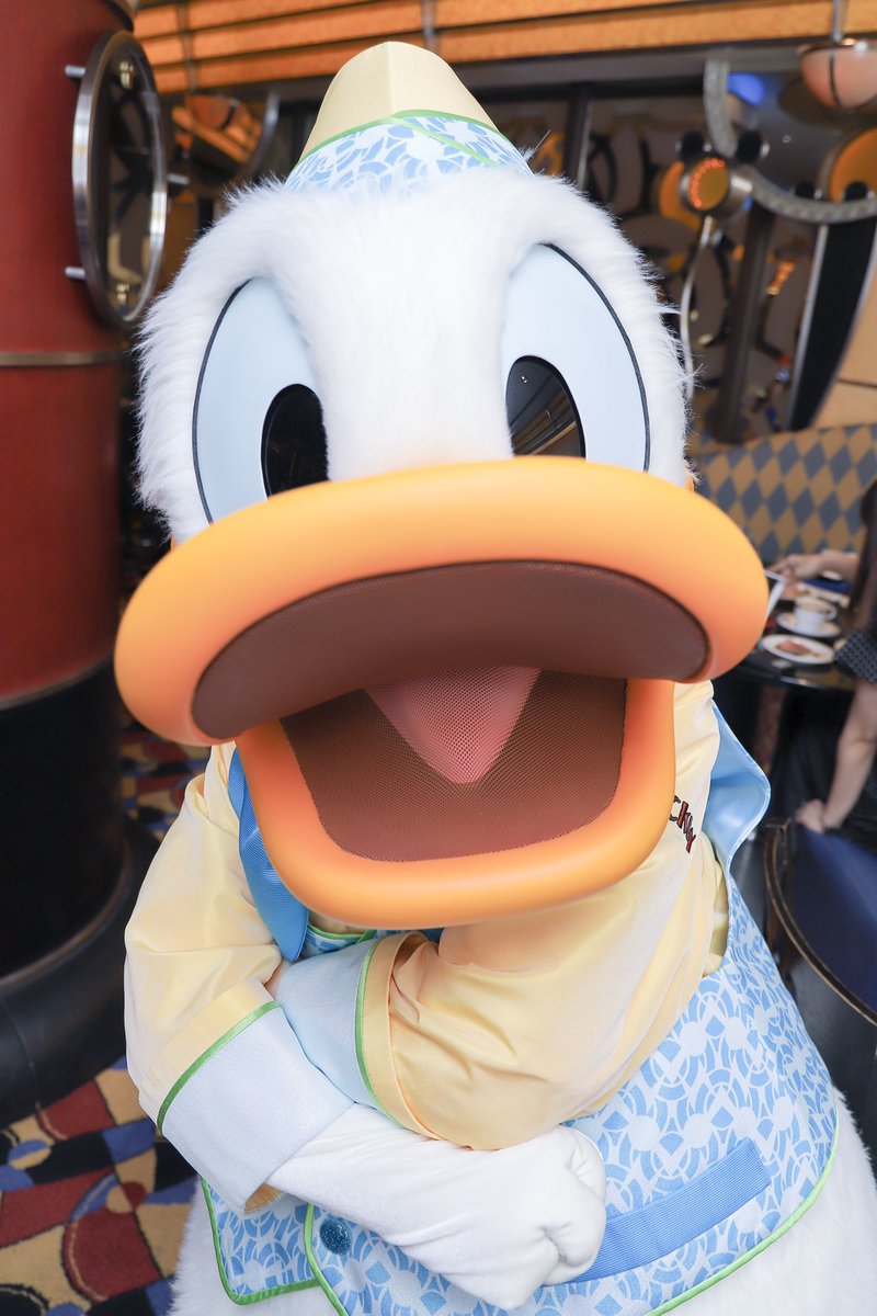 ドナルドスクリーンデビュー19