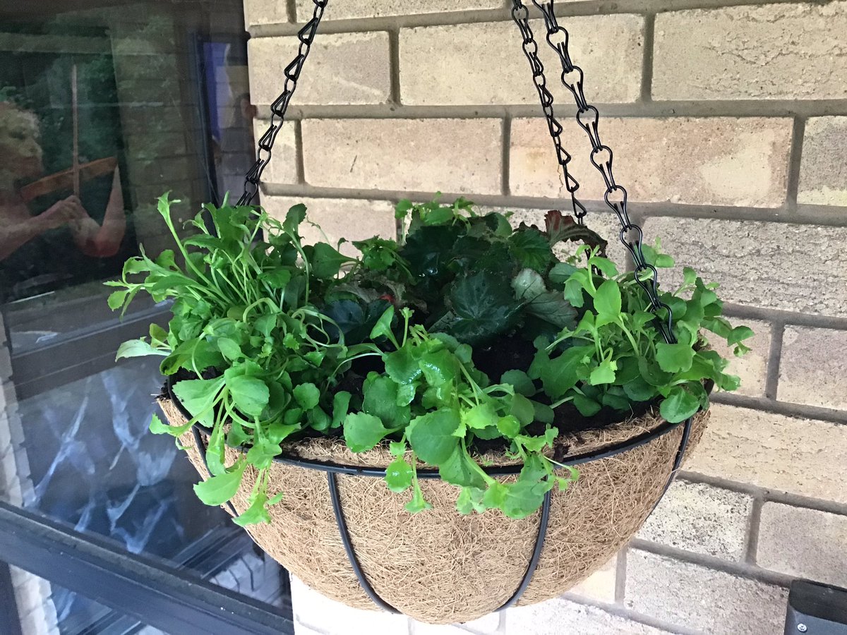 Hanging baskets and greenhouse area getting some WB treatment too! #WBcommunity