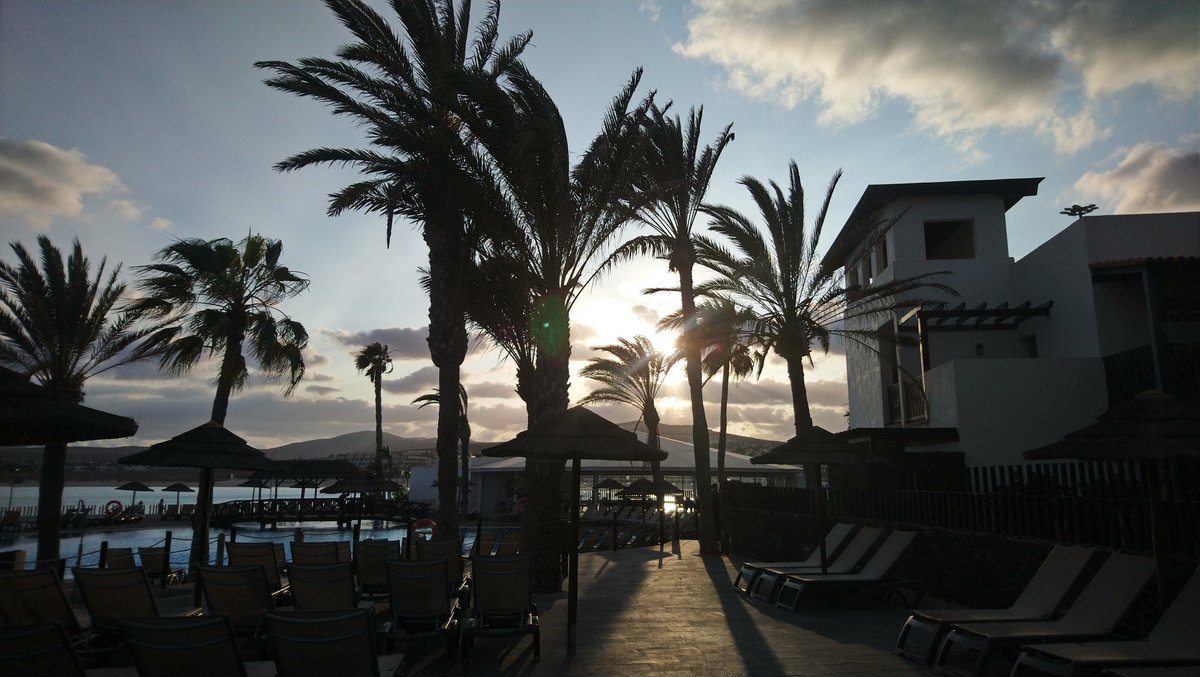 Jeannette Heaton tweet media