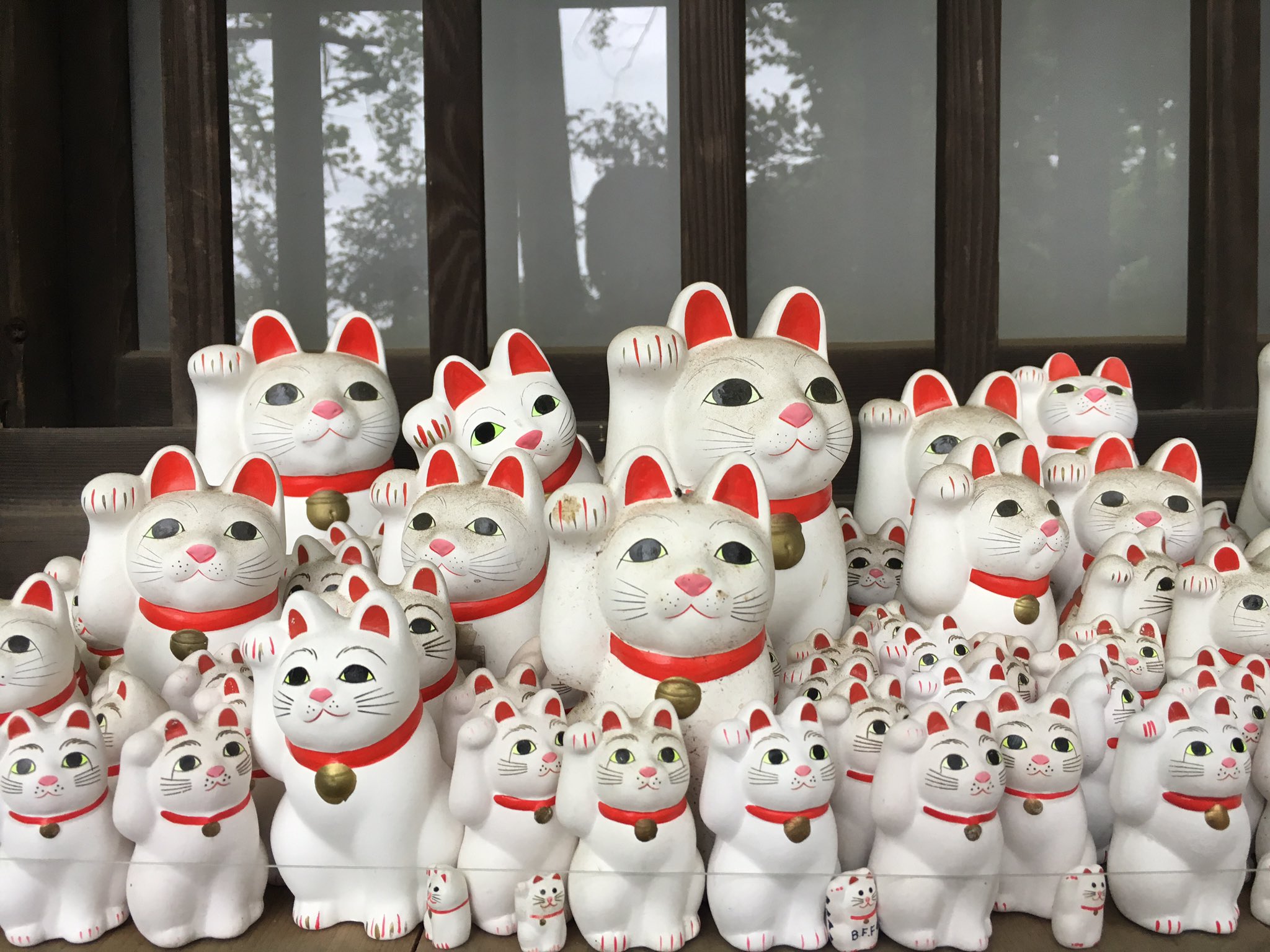 全日本旅オブザイヤー委員会 豪徳寺 東京都世田谷区 井伊直弼の墓がある豪徳寺にはおびただしい数の招きにゃんこが鎮座しています その昔 井伊家の愛猫たまのお陰で落雷を免れた事が元になっているそうですね 招き猫は参拝客がお寺で買って奉納したもの
