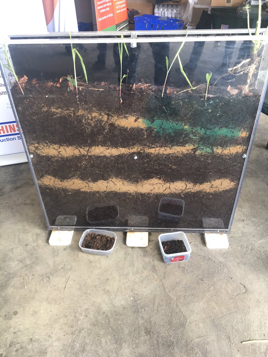 DickNeale tweet media