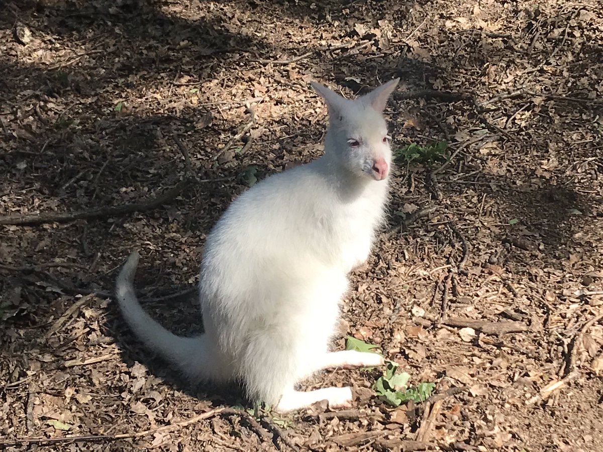 Ma®️ty tweet media