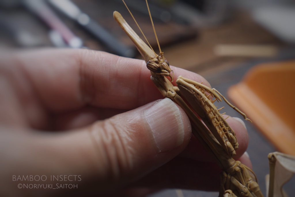 トビエダカマキリ完成です。 実物より随分大きくなってしまいましたが