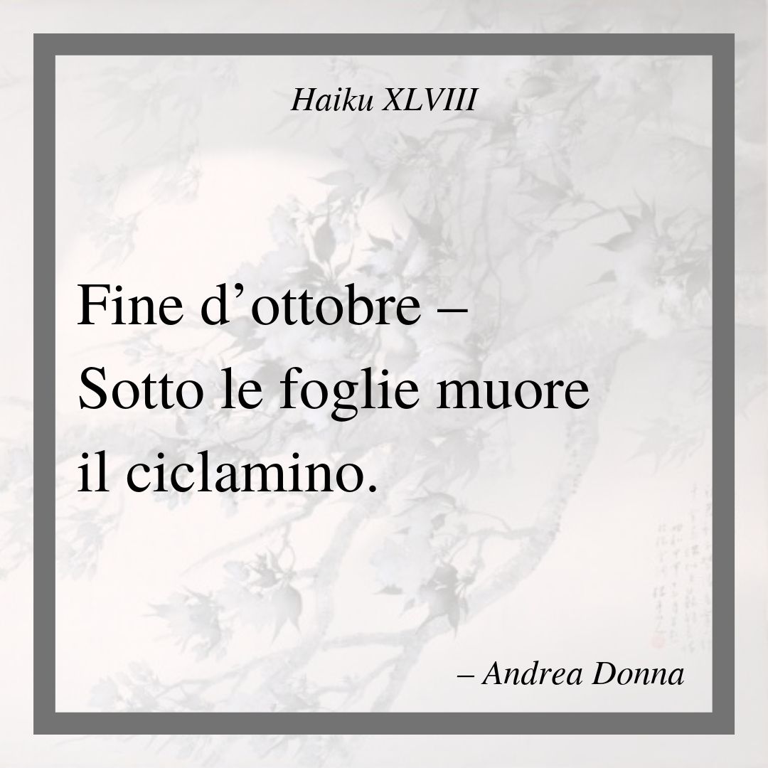 AndreaDonna's tweet photo. #Haiku XLVIII
.
#HaikuinItaliano #poesiebrevi #letteratura #leggere #PoetUnity #ciclamino #fiori #autunno #ottobre #haijin #kigo #EmiliaRomagna #foglie #morte https://t.co/IC1iQRjUNV