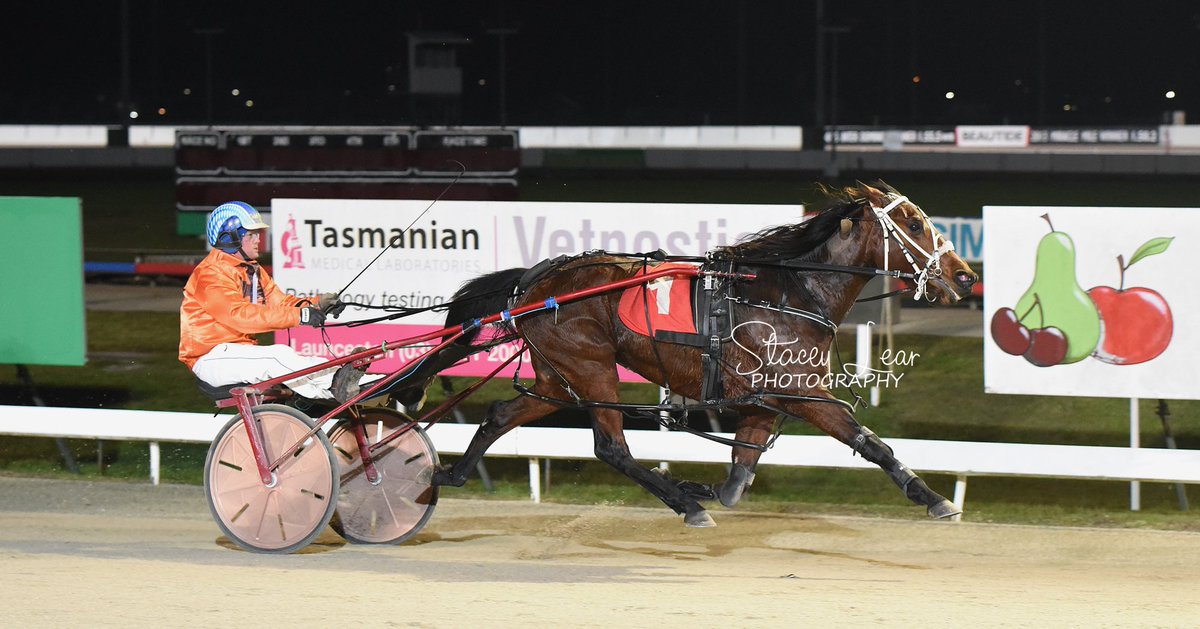staceylear's tweet photo. Race 8 Launceston - LUTETIA MIDFREW / Gareth Rattray &amp; @Ady_Duggan https://t.co/33WOOjtYCE
