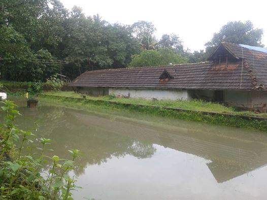 surnell's tweet image. Thanks to Shivaswom Trust some upkeep and daily rituals are undertaken. What is #Devaswom Board for? Sir @kadakampalli for your urgent attention please