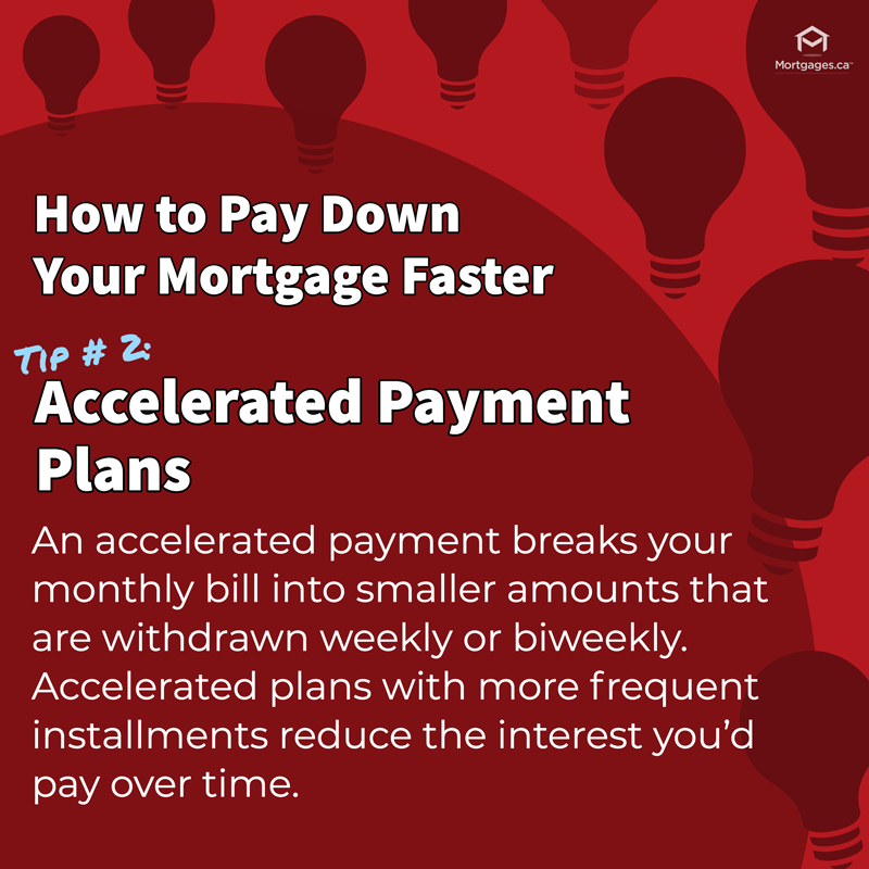 mortgagesdotca's tweet photo. How to Pay Down Your Mortgage 
Tip #2:  Accelerated Payment Plans
.
Learn more strategies on our blog here: https://t.co/b3qHAAB02n
#mortgagepros #mortgagetips #realestate https://t.co/0rzvyPhszY