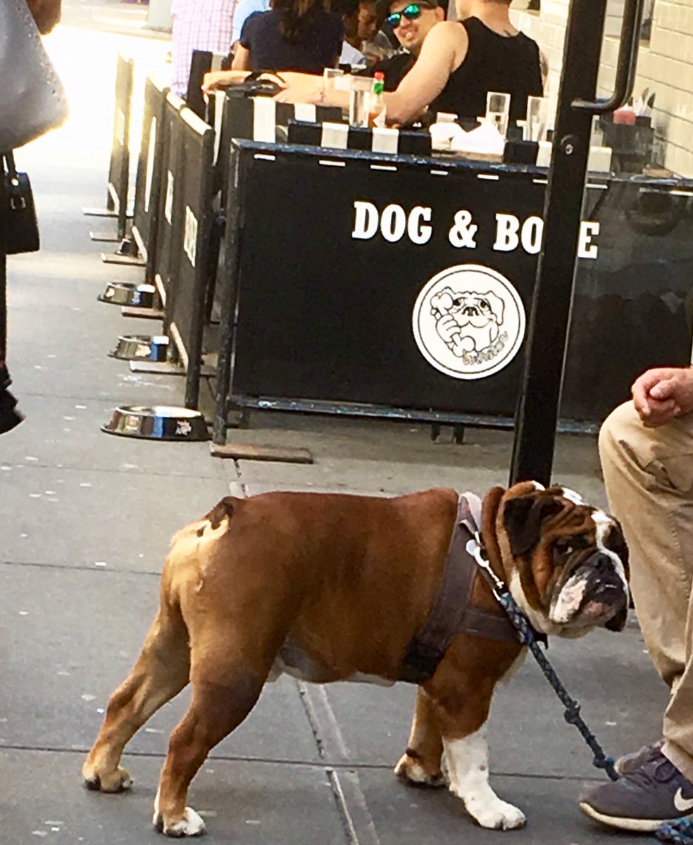 Sunshine ☑️
Cafe open ☑️
Water bowls all out ☑️
Humans also welcome 😉☑️ #managerslife #sitstayeat #vodkafordogpeople #titosvodka 
#sundayfunday #sidewalkcafe #brunch #cocktails #sports