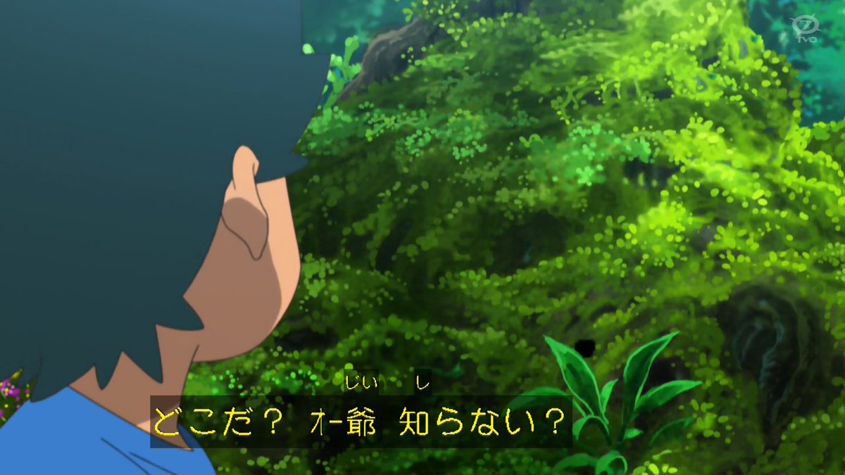 Kou Anipoke アニポケ 仲良くなったオー爺が現代では朽ちているのがサトシが気付いているのかいないのかわからない ことも含めて切ない 考えてみればククイとニャビーは世話になったオー爺とお別れしたわけで なんとなくムーランドを思い出した