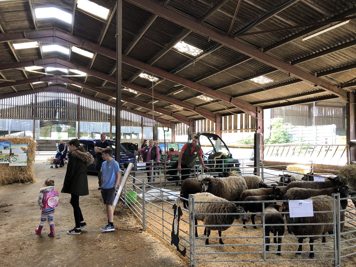 Bees13uk's tweet photo. @OpenFarmSunday #ofs19 If this farm was any more local, we’d live here! https://t.co/DftBMWdlMB