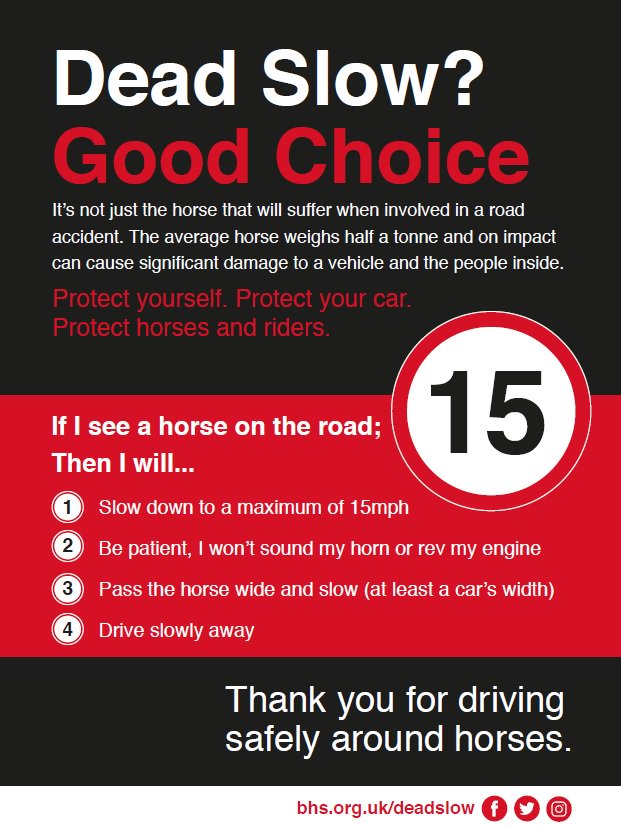 PSOSFife's tweet image. 🐎 Do you know what to do if driving and you are behind a horse on the road?

1️⃣  Slow down (max 15mph);
2️⃣  Be patient (don't sound your horn or rev your engine);
3️⃣  When safe, pass the horse wide (at least a car's width) &amp;amp; slow;
4️⃣  Drive slowly away.

#OpParamount