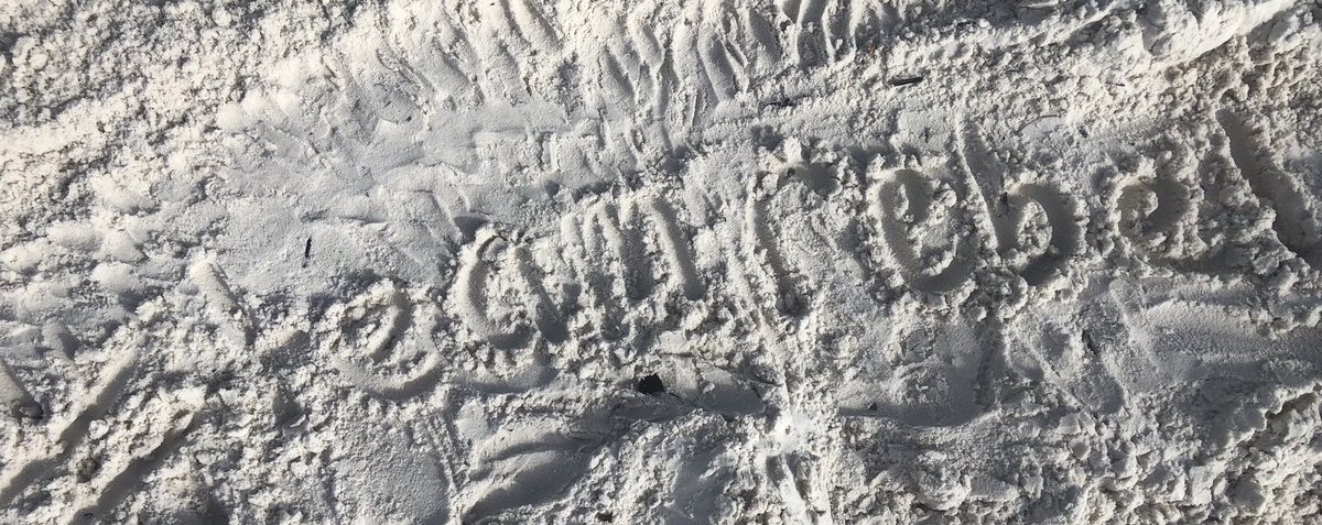 Pate Cooper tweet media