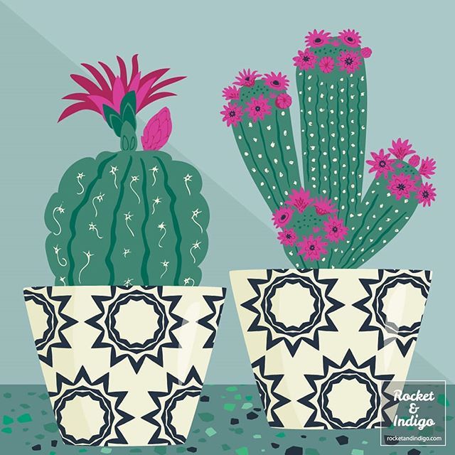 Potted up two of my favourites from the cactus garden. 🌵🌵
.
#cacti #cactuses #cactus #cactusplant #pottedplants #pottedcactus #cactusflower #cactusflowers #floweringcactus #floweringcacti #cactusgarden #cactigarden #cacticacti #cactuslove #greenfinge… bit.ly/2WVJiaA