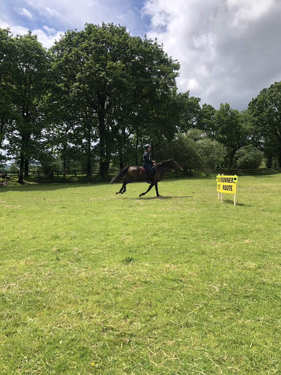 Last day in Wales, Vizslas everywhere, Man Vs Horse (4 legs for the win!) but <a href="/mikewardian/">michael wardian</a> beat 57 out of 60 (unofficial). Beautiful country with the nicest people on the planet! 🏃🏻‍♂️🐎🏴󠁧󠁢󠁷󠁬󠁳󠁿 #KWBpride @KWBPorter <a href="/APSKenmore/">Kenmore MS</a>
