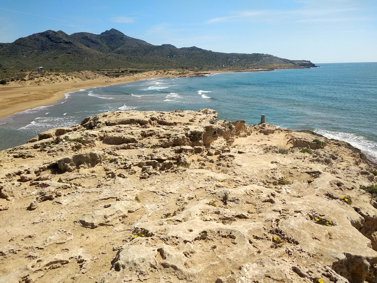 Pacantero's tweet photo. Me he criado en el Segura
entre naranjas y limones
Viendo correr el agua impura
me enamoré de tus melones
El Puente de los Peligros
el Jardín del Malecón
Semana Santa y Salzillo
En Murcia todo y con razón, corazón... 🎶♥️🍋🍊
#DíadelaRegiondeMurcia https://t.co/olBWCaaFID