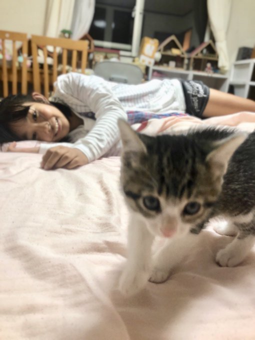 Twitterのコスプレ画像5