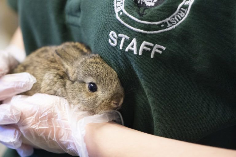 bkpwaste's tweet image. BKP are proud to support the environment and the local community. Check out our chosen charities on our website #bkpgroup #bkp #charities #supportthecommunity

https://www/buff.ly/2WpEfzT