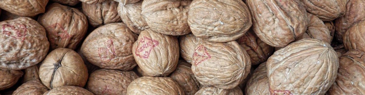 HealthyLifeLON's tweet photo. Melatonin Benefits What #Melatonin Can Do For You by HealthyLife_Plus #DidYouKnow Melatonin is also known to protect the human body from certain types of #cancer &amp; acts as an #antioxidant to get rid of harmful #freeradicals that can cause serious #diseases https://t.co/83zazZINHc https://t.co/XeCaKp8sph