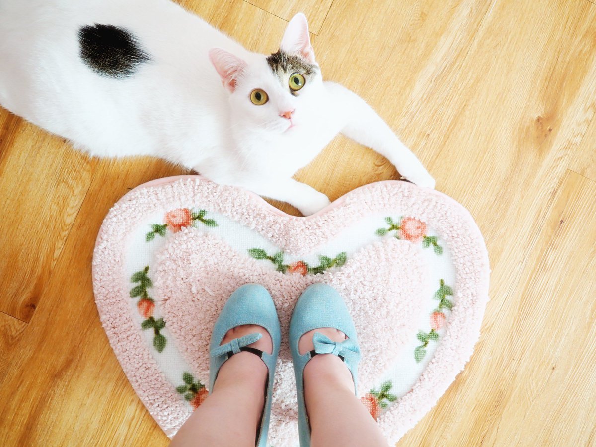 MargaritaBloom's tweet photo. 💙 Feeling pretty in ruffles & blue gingham. 💙 #fashionobsessed #bluegingham #dress #barbiedoll #seahsell #kitty #sweet https://t.co/RP49pDrbMI