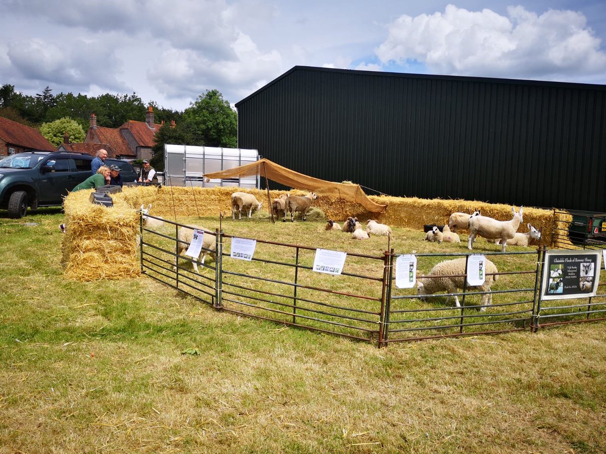 Fantastic day so far at our LEAF Open Farm Sunday. Plenty to see and lots of activities to get involved with. At Haw Farm, RG18 0TP. 🌾🚜 #leaf #openfarmsunday #ofs #britishfarming #estatemanagement #leafopenfarmsunday #dayout #kidsdayout #familydayout #westberkshire