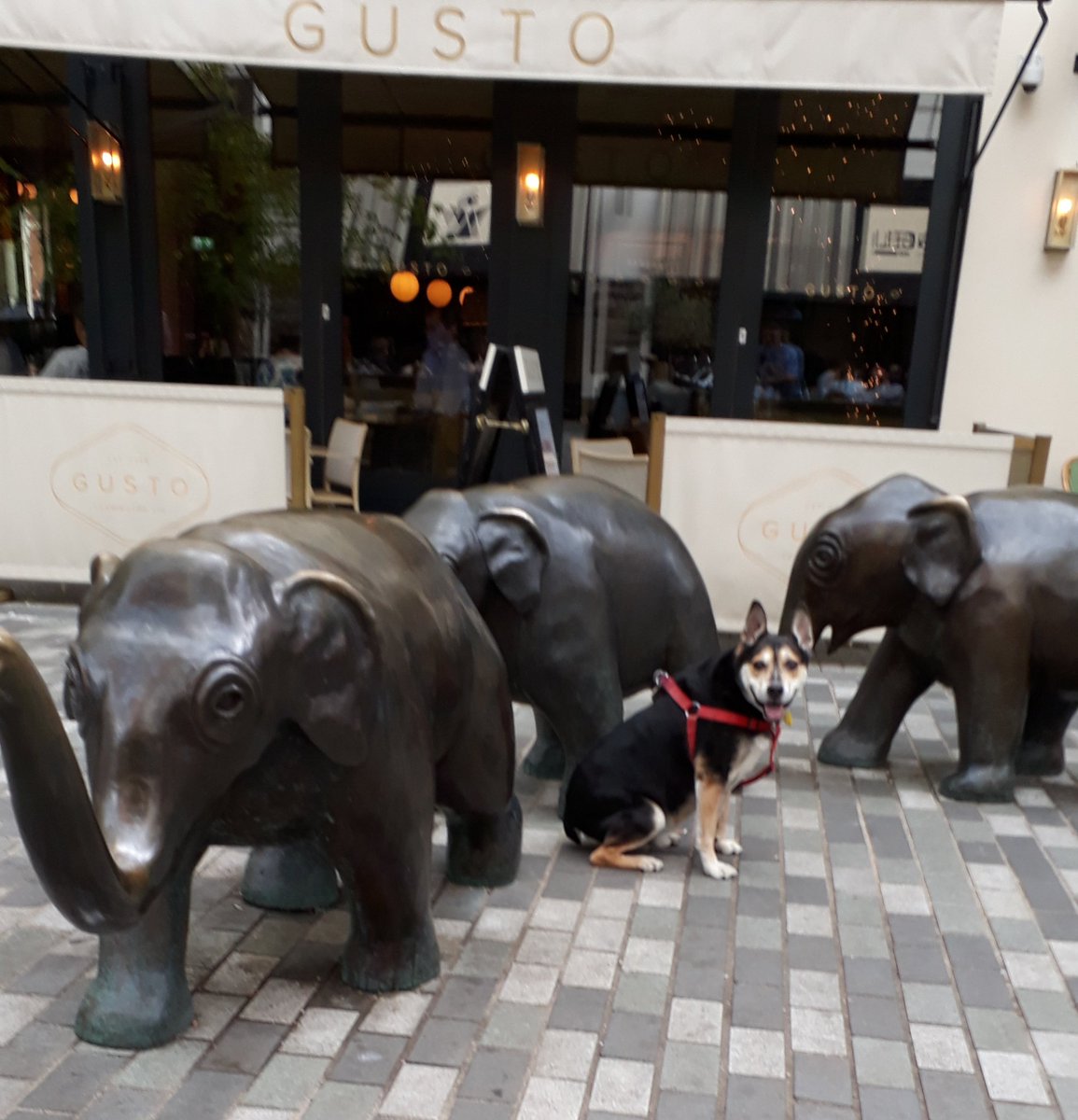 I've made some new friends today on my travels in Leamington spa.