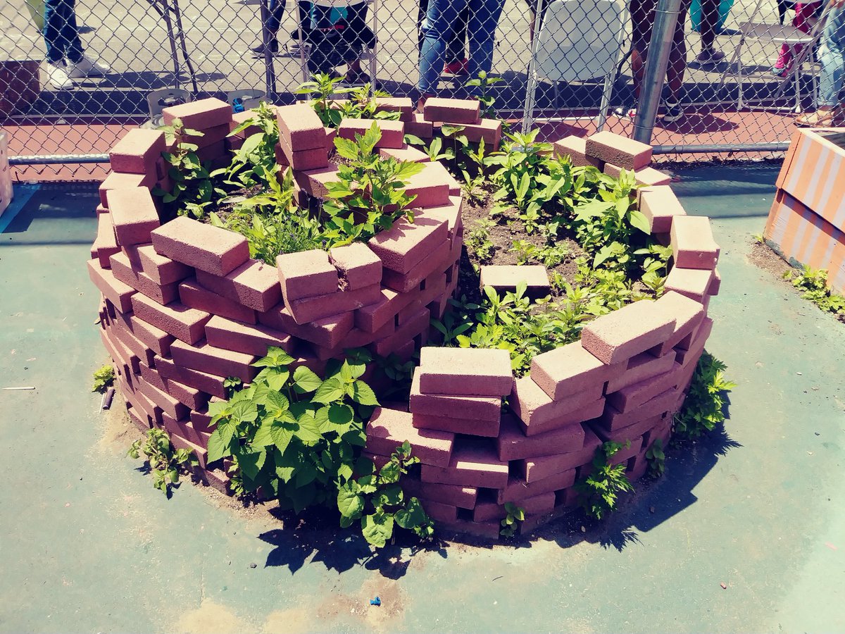 Karen Watts (@karenwatts729) on Twitter photo <a href="/BGESchool/">BrooklynGardensElementary</a> <a href="/NYCDistrict19/">Community District 19</a> <a href="/McbrydeDr/">Dr.Thomas Mcbryde Jr</a> <a href="/TamraCollinsD19/">Tamra Collins</a> <a href="/PWCNYC/">Partnership with Children</a> Opportunities for adults to learn to drive as well as for students to learn to ride bikes as well as receive new bikes from NYC Bikes USA will make a fun summer for all!
Looking forward to the roof top garden that will expand your teaching garden concept at Brooklyn Gardens ES! <a href="/BGESchool/">BrooklynGardensElementary</a> <a href="/NYCDistrict19/">Community District 19</a> <a href="/McbrydeDr/">Dr.Thomas Mcbryde Jr</a> <a href="/TamraCollinsD19/">Tamra Collins</a> <a href="/PWCNYC/">Partnership with Children</a> Opportunities for adults to learn to drive as well as for students to learn to ride bikes as well as receive new bikes from NYC Bikes USA will make a fun summer for all!
Looking forward to the roof top garden that will expand your teaching garden concept at Brooklyn Gardens ES!