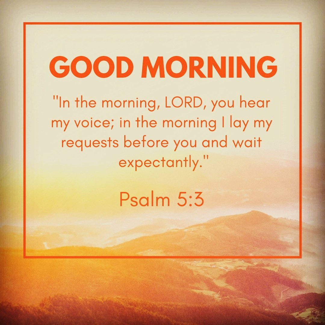 PredictiveCF's tweet image. 