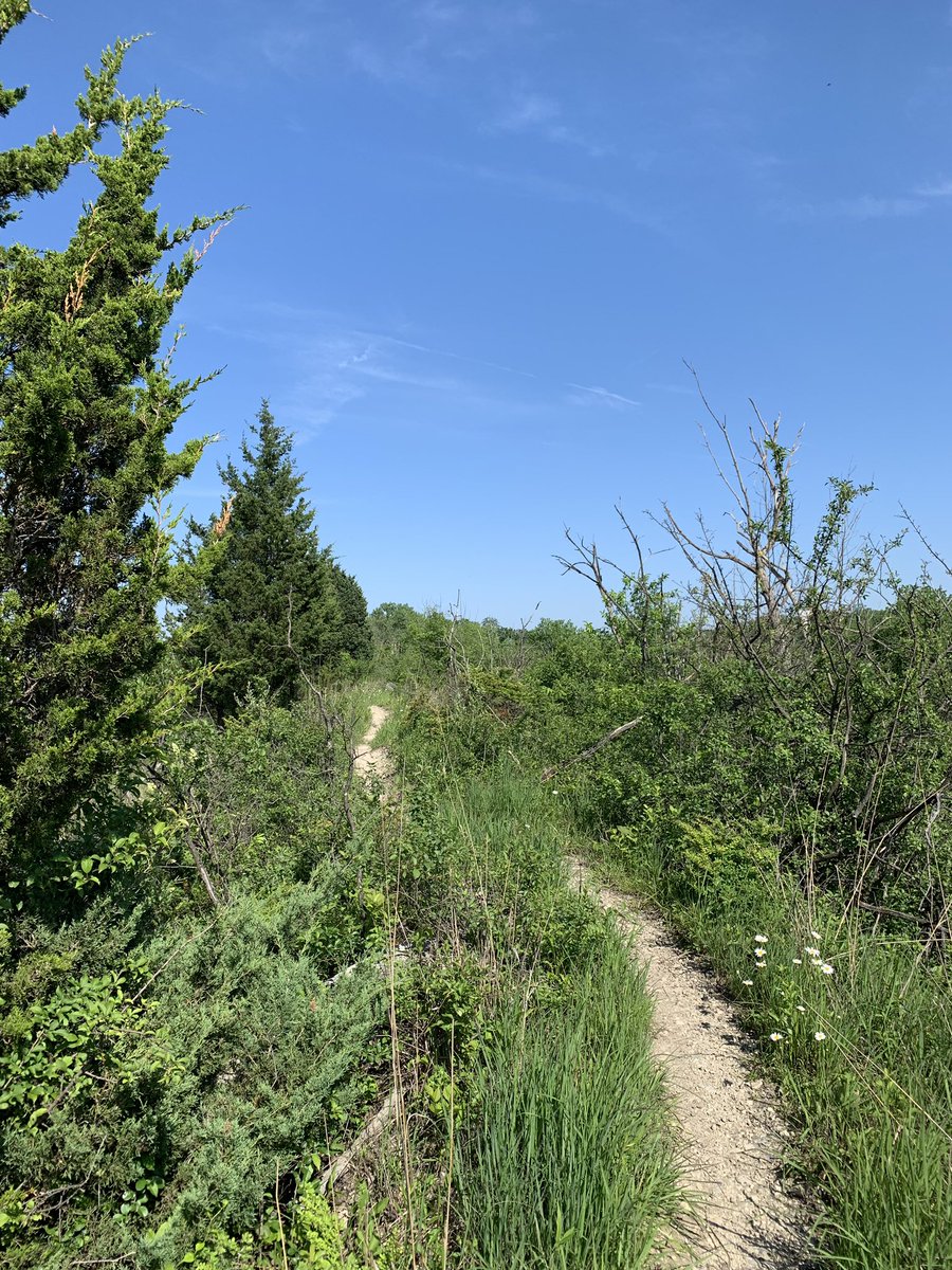 ayerules's tweet image. i long for the sun to come out the way it did on our adventures this past Friday! today i’m stuck in the house “adulting” 😣 #iwantoutofmycage #nature #sun #outdoors #crowlife #geocaching #love #live #life #explorer #god #treehugger #earthlover