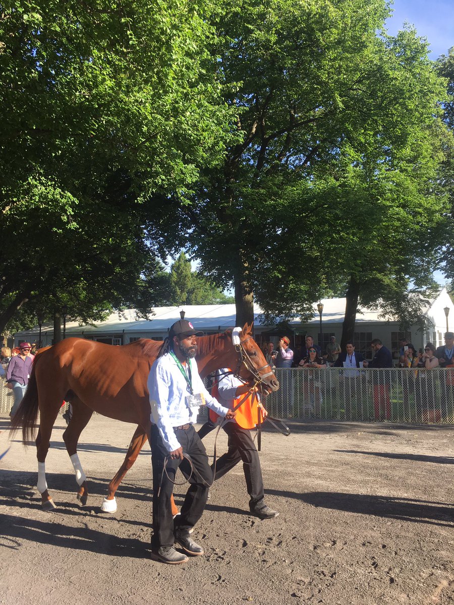 Belmont Stakes winner Sir Winston arrives in the Paddock prior to race. #Belmont151