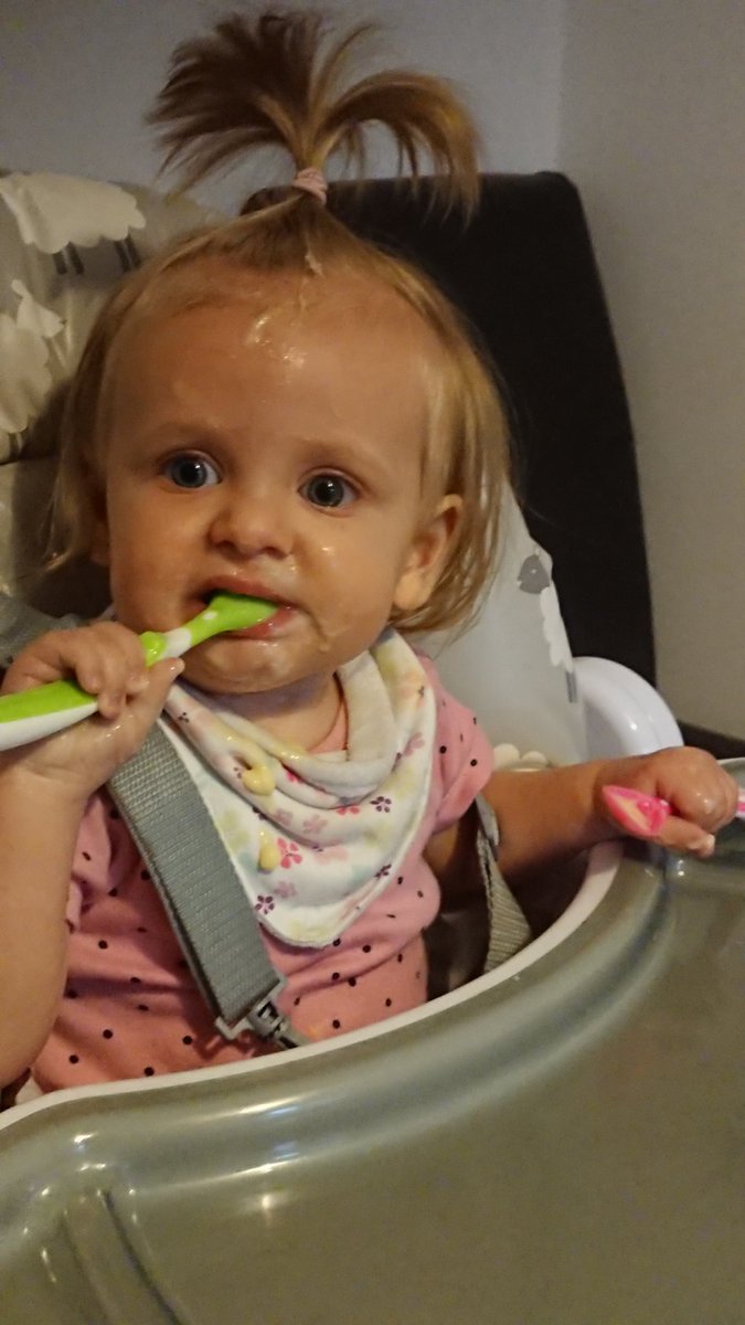 FarrowNicklas's tweet photo. First time feeding by herself haha π carnage! #doublespoon #octopusarms https://t.co/7ixzW9cgaG
