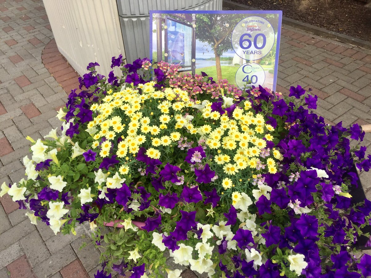 Judging has started for 2019 <a href="/SuperValuIRL/">SuperValu Ireland</a> National Tidy Towns Comp. We need every Business Premises, School, Resident, to make the extra effort in weeks ahead. Please make a concerted effort to Keep the town clean and tidy. <a href="/TidyTownsIre/">Supervalu TidyTowns Competition</a> <a href="/BioDataCentre/">Biodiversity Ireland</a> #goingforthreegoldinarow