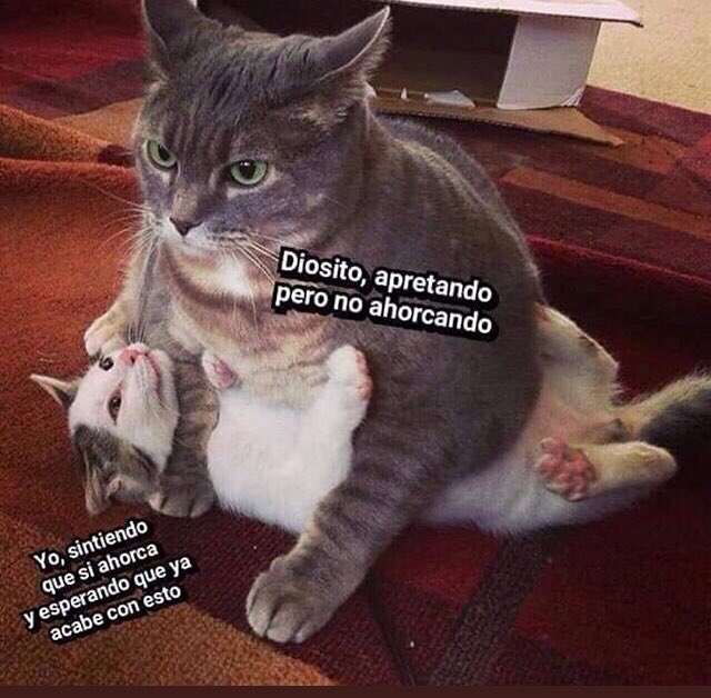 ElMonkeyProject's tweet image. Bueno por acá tratando de retomar esto..
Vamos a ver que tal 🧨🎉✨
#QuiénSeManifiesta