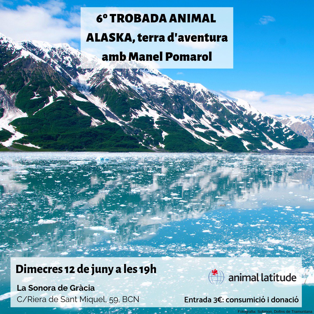 irenecerverab's tweet photo. Proper #encuentroanimal amb Manel Pomarol 🏔️🐻 apassionat d'Alaska i també cap Secció de Conservació de la Fauna i Dir Tèc. #centrefauna Torreferrussa
🦊Servei de #Faunaiflora, Direcció Gral de Polítiques Ambientals i Medi Natural
Dept @territoricat #xerrada @animallatitude #bcn https://t.co/cudr1ZyWg5